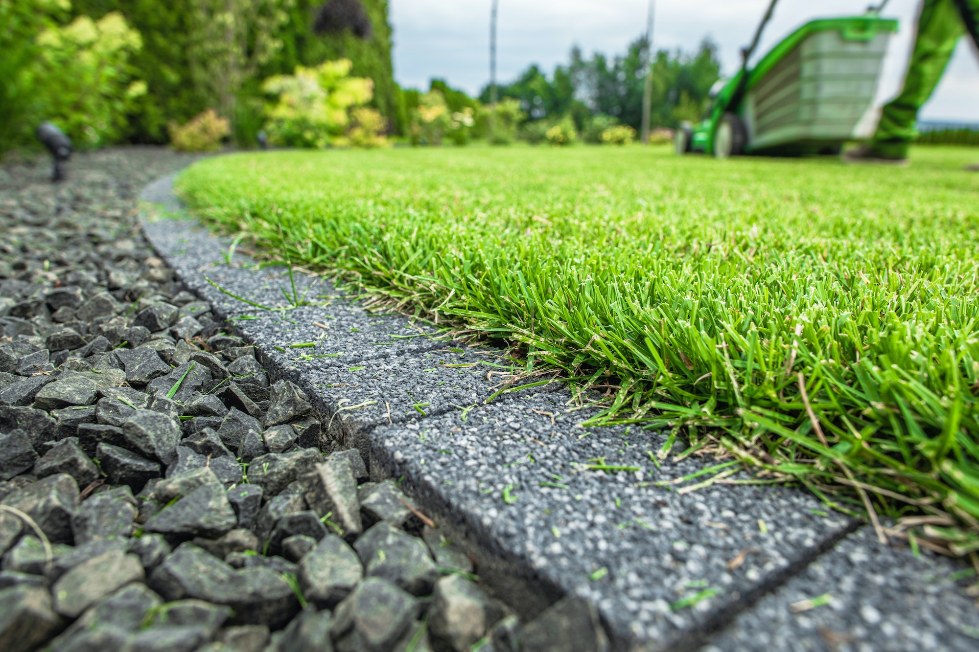 Backyard Lawn Grass Field Cobble Edges