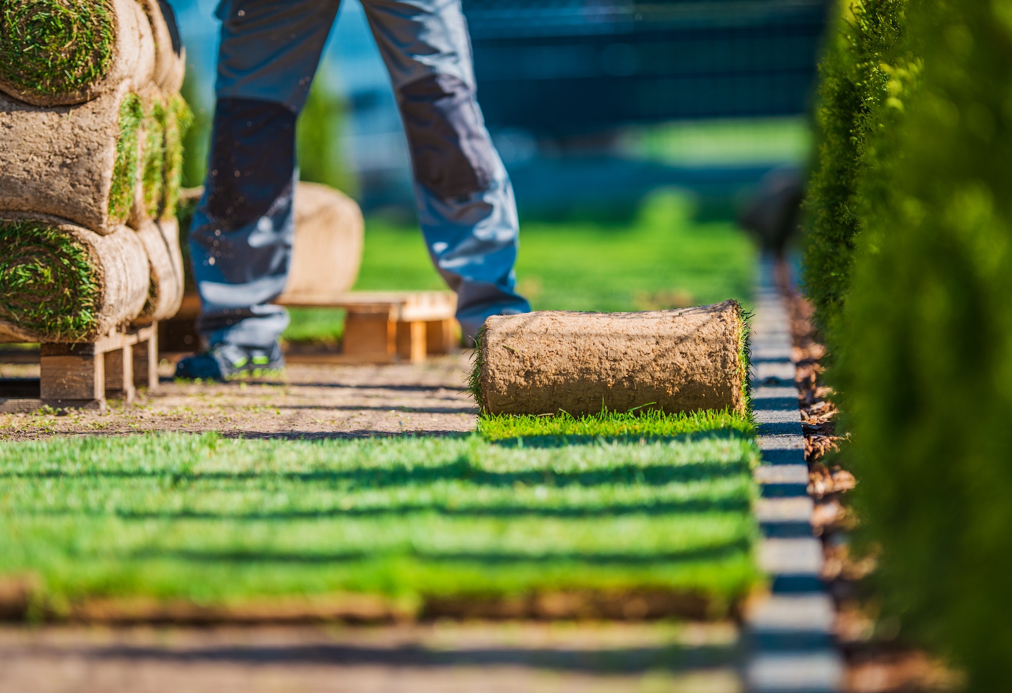 Grass Lawn Installation